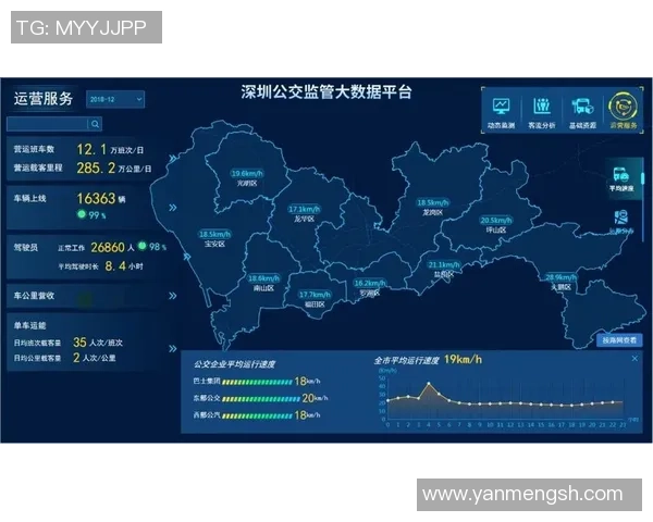 广州排球队运营策略深度分析与发展前景探讨