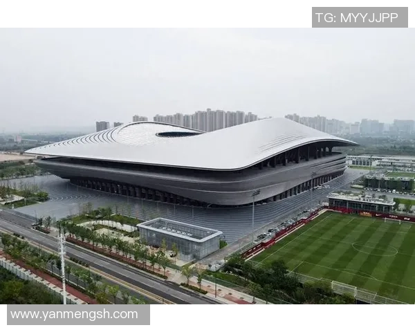 西安足球队在洲际杯中的拼搏历程与荣耀时刻全景回顾